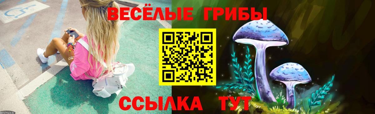 Псилоцибиновые грибы MAGIC MUSHROOMS  Вход с VPN  Ангарск 